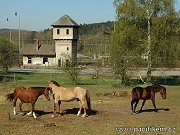 Star vodrensk v "U Sekal" lec u beneovskho zhlav eransk stanice byla adu let przdn, nevyuvan a neuten chtrala. Dnes se vodrensk v nachz ve vlastnictv Obanskho sdruen Poszavsk pacifik, kter j tm zachrnilo od demolice v rmci rekonstrukce eransk stanice. 