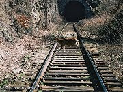 Skokan u Pikovickho tunelu